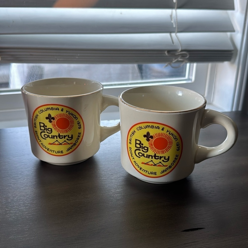 Set of 2 vintage Boy Scouts 1979 mugs